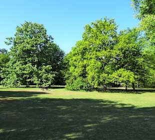 Liegewiesen am Silbersee