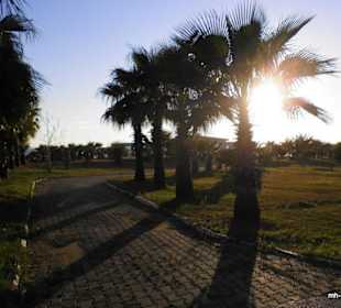 Schöne Anlagen flankieren die Promenade