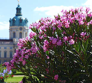 Schloss Charlottenburg