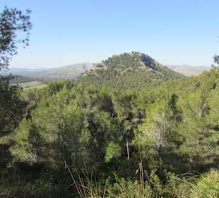 Blick zum Puig de S'Aguila