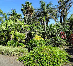 Rundgang durch den Botanischen Garten der Domaine