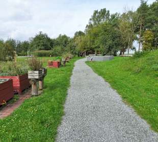 Unterwegs im Natureum Niederelbe