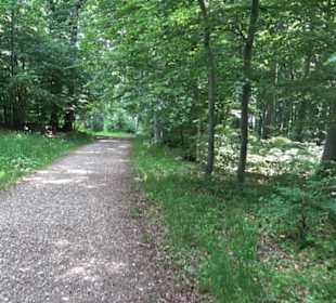 Premiumwanderweg "hochgelegen"