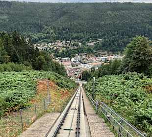 Wandern Bad Wildbad