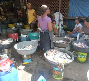 Markt Samana