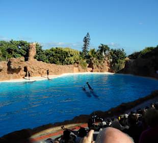 Loro Parque 