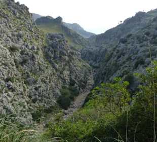 Am Anfang ist der Weg nicht so anstrengend