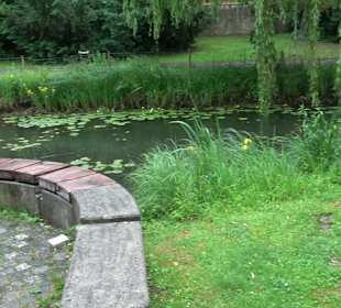 Fischlehrpfad Neu-Ulm