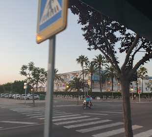 Stadtrundfahrt Alcudia