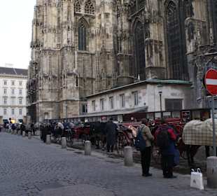 Fiaker vor dem Stephansdom