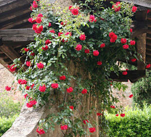Volpaia- winziges Dorf im Chianti- Geheimtipp
