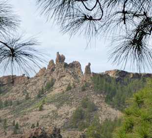Naturpark Parque Rural del Nublo