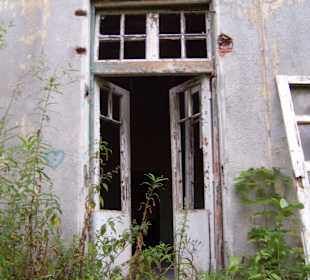 Zakład dla Nerwowo i Psychicznie Chorych Żydów Zofiówka