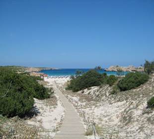 Weg zum Strand