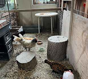 Kinderbauernhof Het Bukske