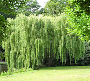 Spaziergang durch die sommerlichen Graftanlagen