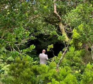 Eingang in die Lavaröhre