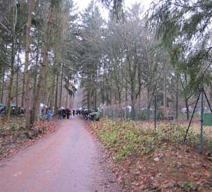 Waldbasar in Dudenhofen