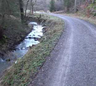 Wanderung rund um den Ochsenweiher