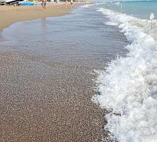 Strand Side - Titreyengöl