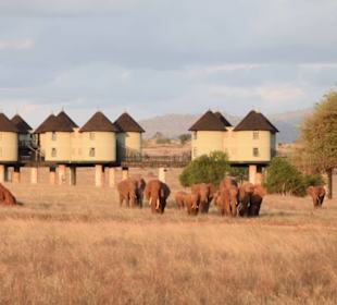 Sarova Salt Lick Game Lodge