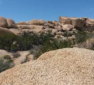 Joshua Tree National Park