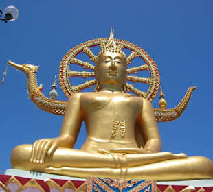 Der neugestaltete Big Buddha