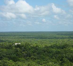 Calakmul
