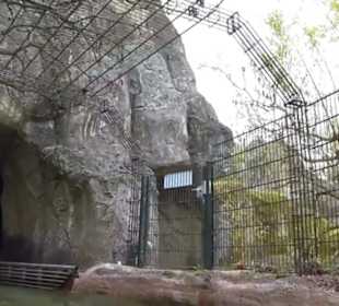 Land der Abenteuer - Dschungel X-pedition