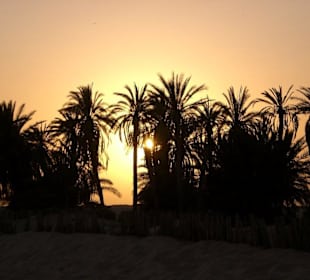 Sonnenuntergang am Rande der Sahara