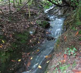 Lydford Gorge