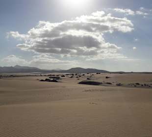 Wanderung durch die Dünen (4)