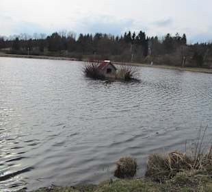Entenhaus im See