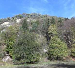 Steinbruch am Kalkofen Öschingen