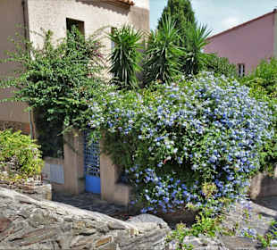 Impressionen aus der Altstadt von Collioure