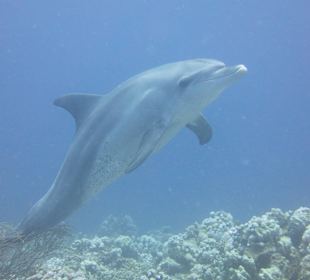 Hier der Zweite oder der Dritte?