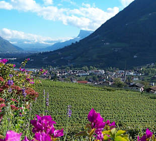 Paradiesisch