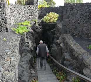 Fundacion Cesar Manrique