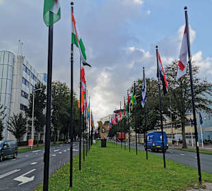 Stadtrundgang Den Haag - Scheveningen