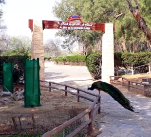 Al Areen Wildlife Park