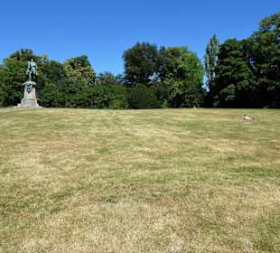 Wiesenfläche neben dem Reiterdenkmal im Hofgarten