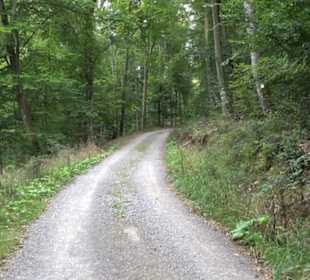 Altwege Rundwanderung Bebenhausen