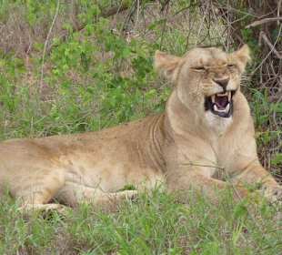 Tief Luft holen oder müde?