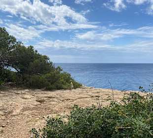 Küstenwanderung Cala Mondrago