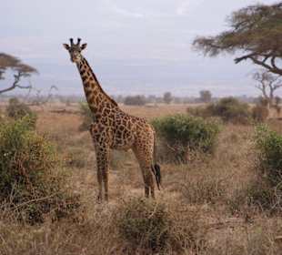 Auch die haben wir gesehen