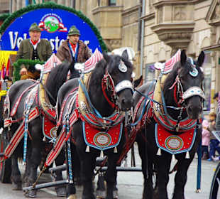 Erntedankfestzug 2012 Fürth