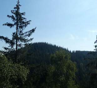 Unterwegs im Thüringer Wald bei Friedrichroda