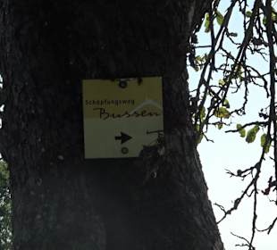 Bussen Schöpfungsweg Offingen