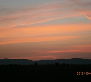 Colours of dawn on the river shore