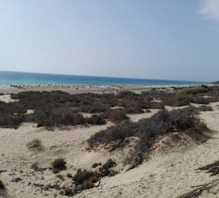 Strand Costa Calma